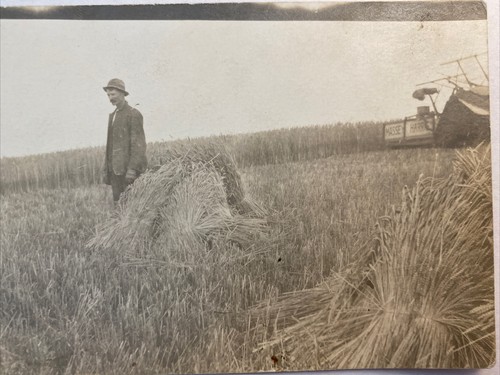 Rppc 1910s farm - rppc,