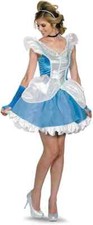 Cinderella Costume Womens M