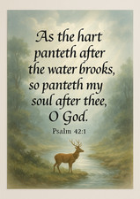 Bible Verse - Christian -