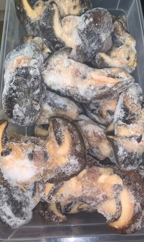 Fresh frozen jumbo snails - fresh,