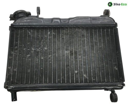 Yamaha tzr 125 water radiator - 125,
