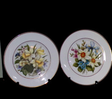 Decorative Floral Plates x2 Narcissus / Daffodil Pall Mall Ware Spring Time L@@K