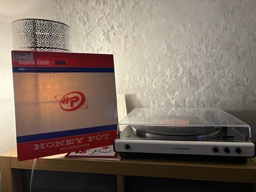 Alpha zone stay - pt, 12”