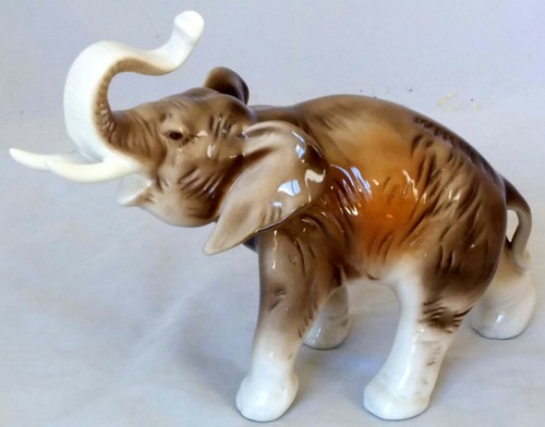 Elephant with raised trunk - elephant,