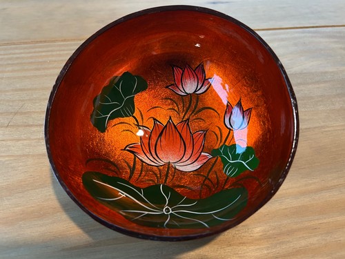 Hand painted coconut - coconut, shell