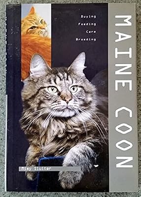 Maine coon sluiter used - m,