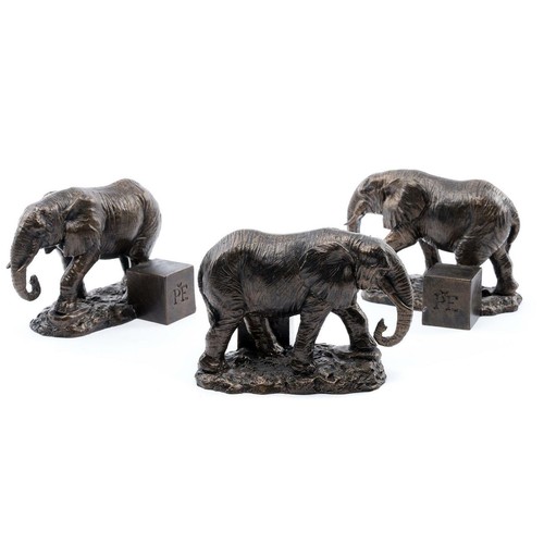 Potty feet elephant - feet,