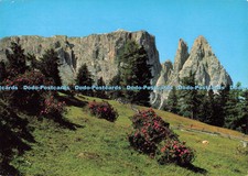 D138644 Alpe di Siusi verso lo