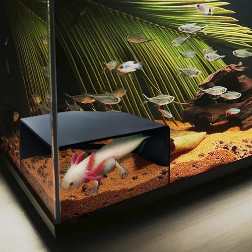 Aquarium corner cave hide - corner,