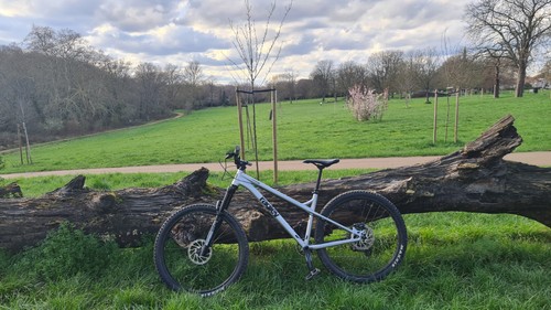 Ragley mmmbopp mountain bike - ragley,