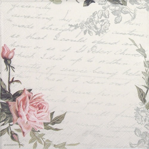 Single paper napkins - napkins, for