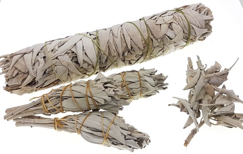 Californian white sage - sage, smudge