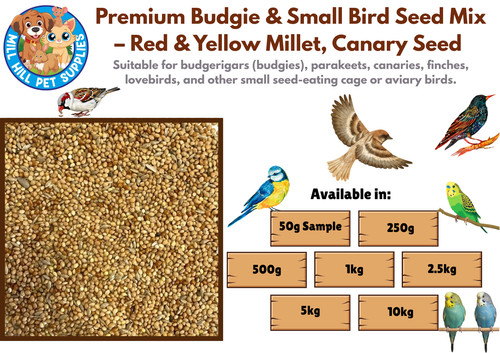 Premium budgie small bird - premium,