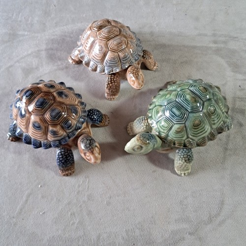 Wade tortoise trinket - wade, 4"
