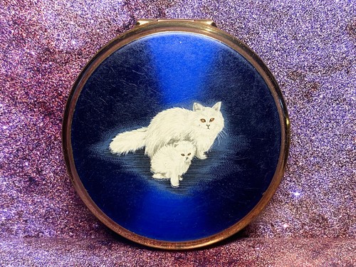 Blue and white - , cats