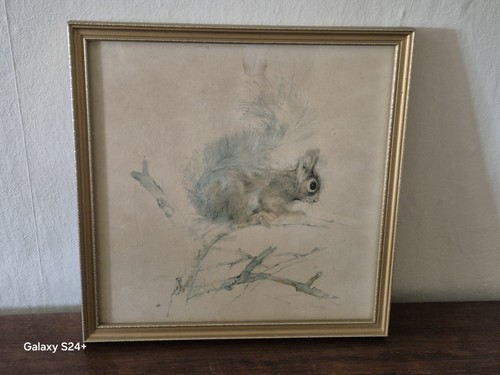 Vintage mads stage - stage, squirrel
