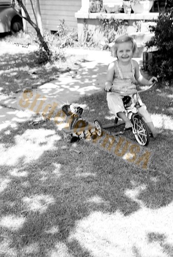 Vtg 120 negative - vtg,