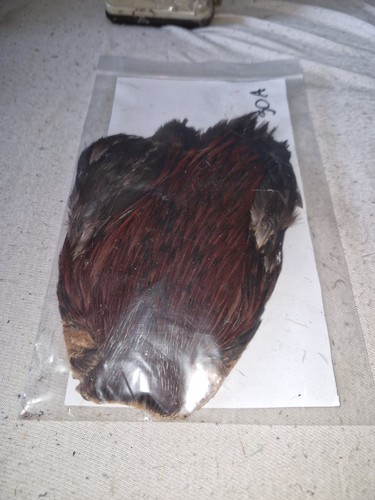 Cock cape fly tying - cock,