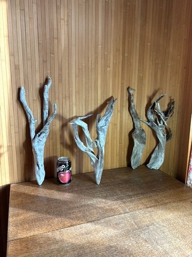Driftwood silver trees of - x4,