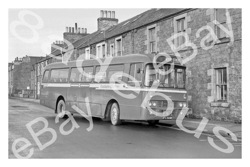 Bus photograph eastern - bus,