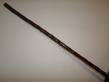 Blackthorn Walking Stick