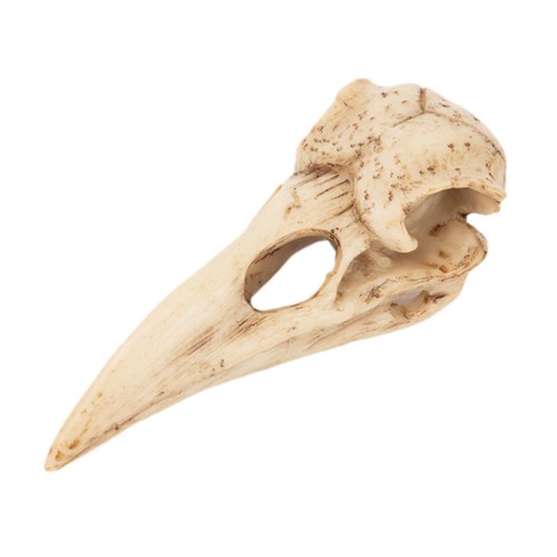 Skull statue hanging - hanging, wall