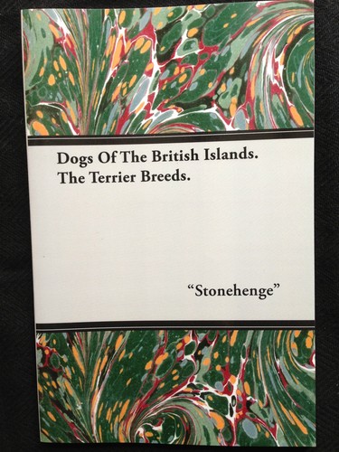 Dogs terriers bull - dogs,