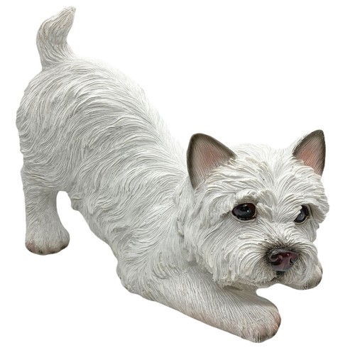 West highland terrier dog - west,