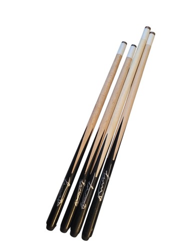 Professional snooker player - professional,