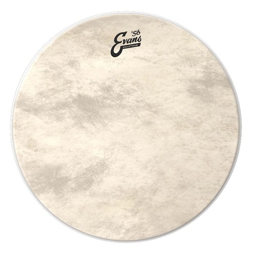 Evans calftone bass - '56, drum