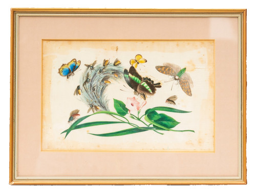 Chinese watercolor painting - watercolor,