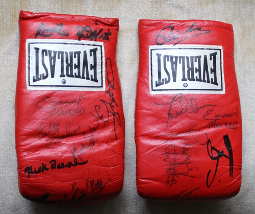 Vintage signed boxing gloves - vintage,