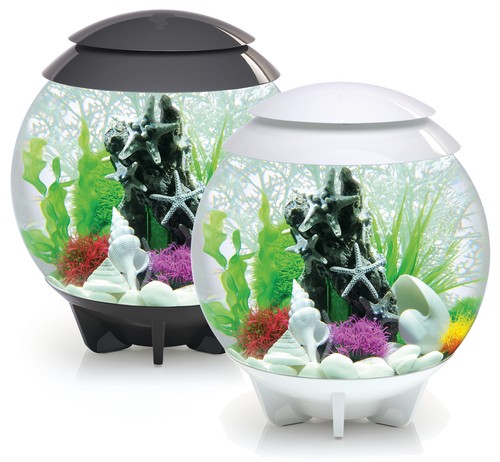 Oase biorb 30l halo - oase,