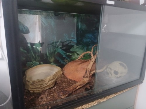 Vivarium