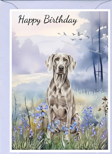 Weimaraner dog - weimaraner,