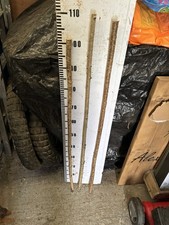 Hazel  Seasoned STICK WALKING