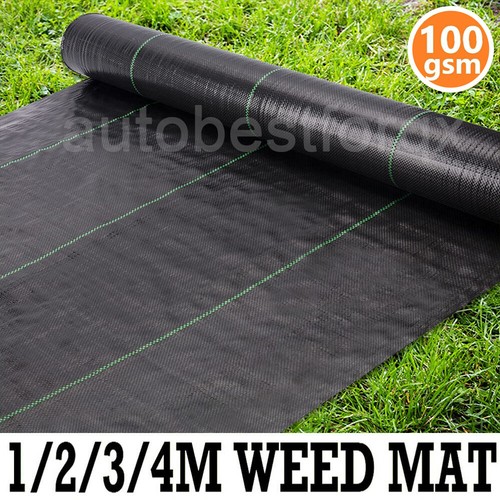 Heavy duty weed - heavy, control