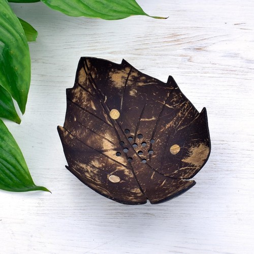 Peace with the wild coconut - peace,