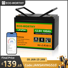 ECO-WORTHY 12V 100AH LiFePO4