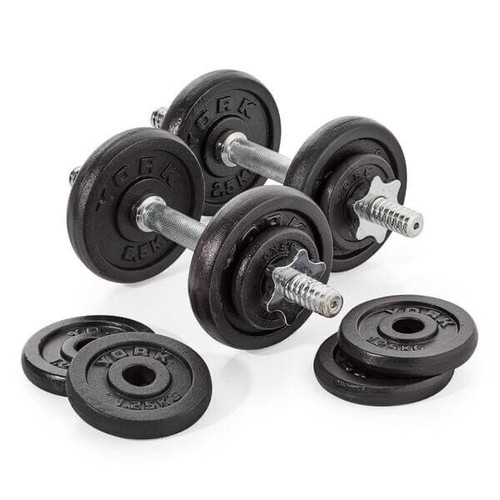 York 20kg dumbbell - york,
