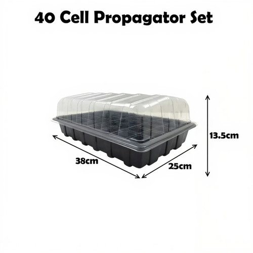 Cell propagator full - propagator, size