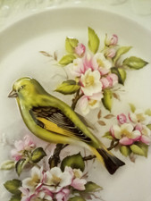 ROYAL WORCESTER Bird