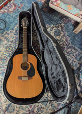 12 String Acoustic Seagull