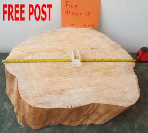 Large thick pine - wood, slice