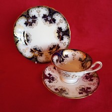 STUNNING ANTIQUE SHELLEY