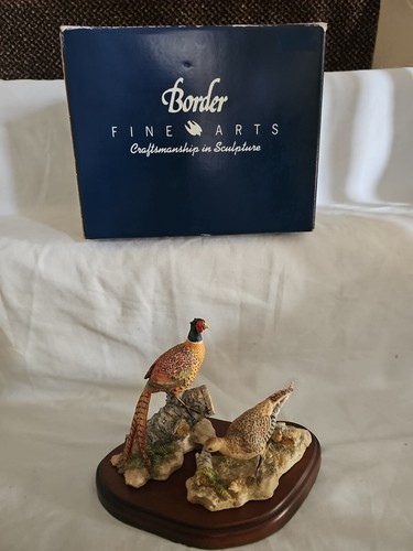 Boxed border fine arts - arts,, hen