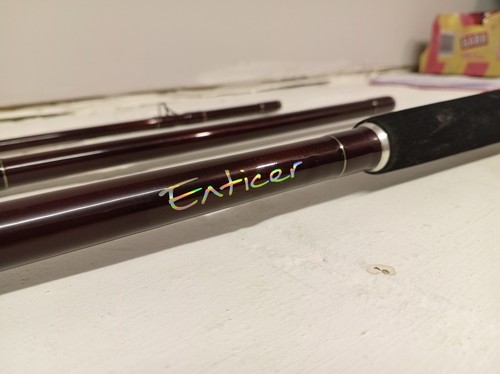 Abu garcia enticer pike - abu,