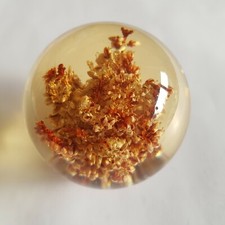 Hafod Grange 1996 lucite