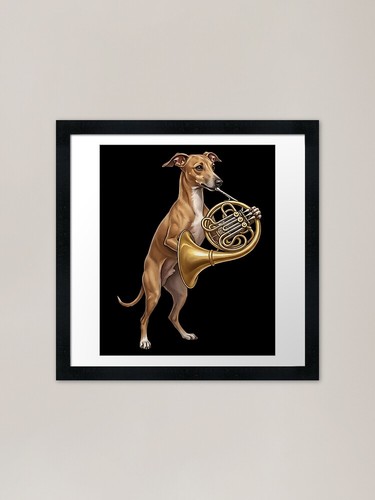 Italian greyhound playing - italian,