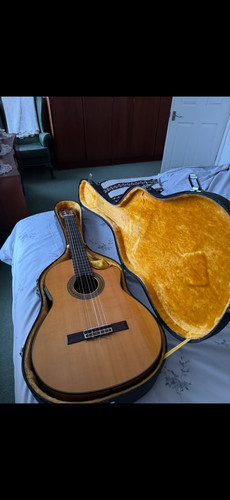 Yamaha cg171sf custom acoustic - cg171sf,